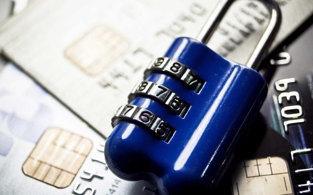 Avoid the PCI Compliance Nightmare: Protect Your Business from Risk